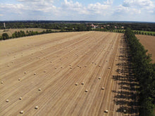 Laden Sie das Bild in den Galerie-Viewer, 40 x Rundballen Stroh / ca. 1,35 m im Durchmesser - inkl. 7 % MwSt.
