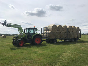 40 x Rundballen Heu / ca. 1,35 m im Durchmesser - inkl. 7 % MwSt.