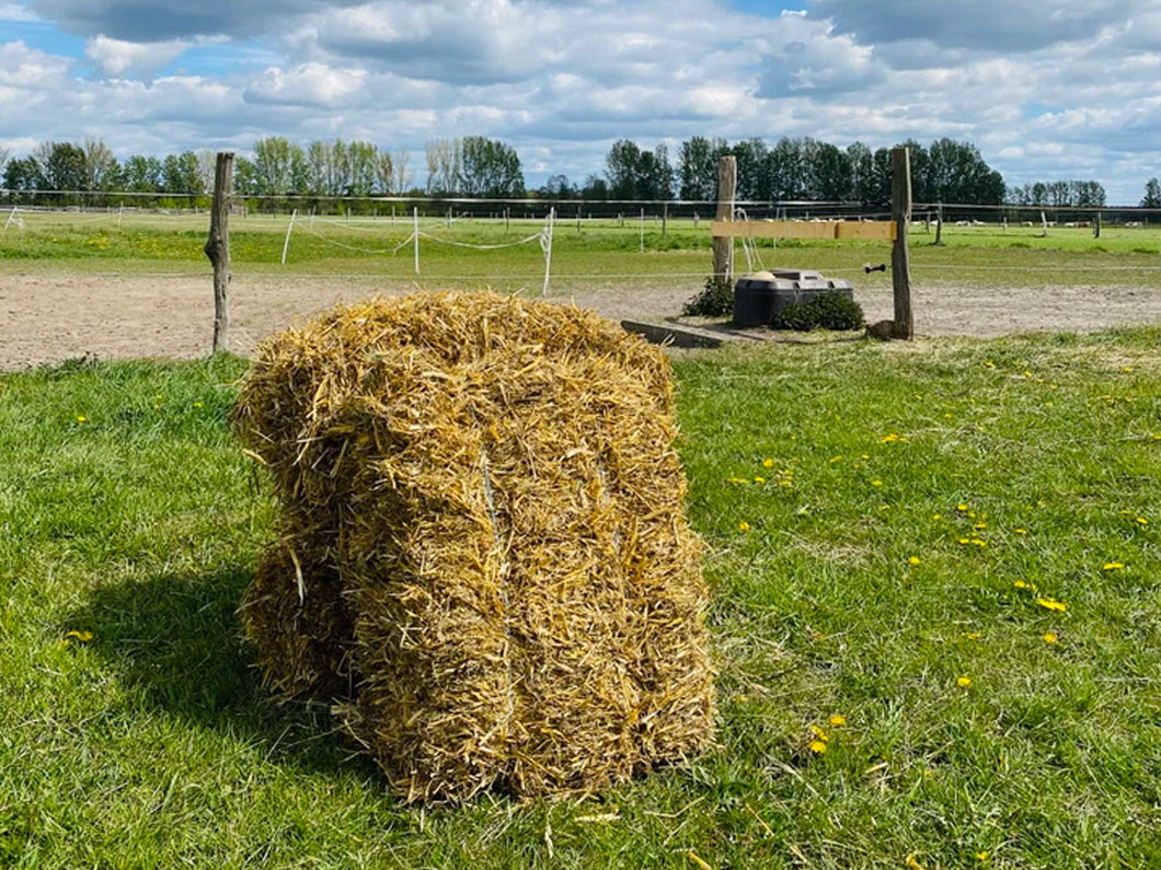 Strohballen / 10-12 kg - inkl. 7 % MwSt.