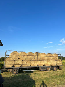 40 x Rundballen Heu / ca. 1,35 m im Durchmesser - inkl. 7 % MwSt.